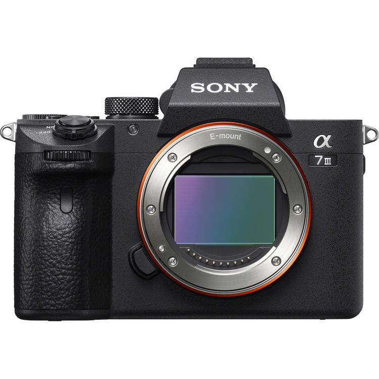 Sony Alpha a7 III Mirrorless Digital Camera (Body Only