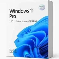 WINDOWS 11 Pro License