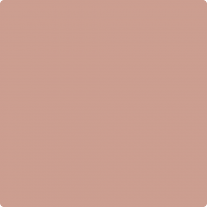 Visico Solid Color Background-Cocoa (3 x 5 m)